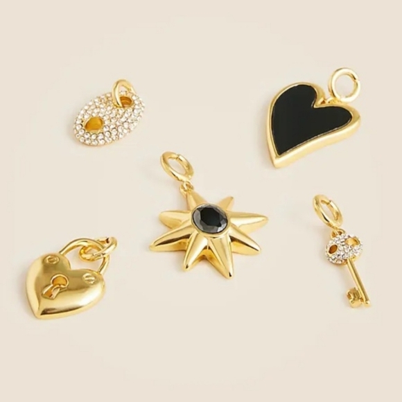 Gold and Black Mixed-Charm Necklace - Picture 3 of 14